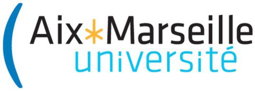 Aix Marseille University